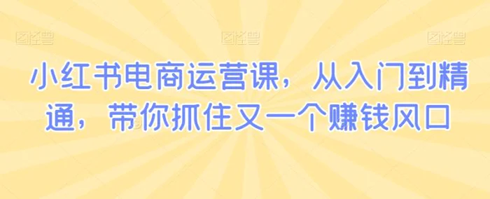 图片[1]-小红书电商运营课，从入门到精通，带你抓住又一个赚钱风口-蛙蛙资源网