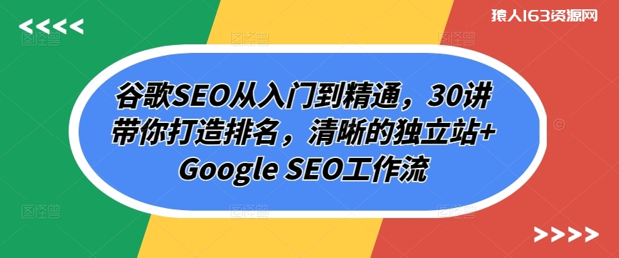 图片[1]-谷歌SEO从入门到精通，30讲带你打造排名，清晰的独立站+Google SEO工作流-蛙蛙资源网