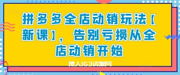 图片[1]-拼多多全店动销玩法【新课】，告别亏损从全店动销开始-蛙蛙资源网