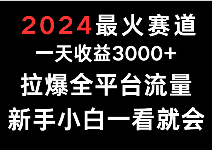 图片[1]-2024最火赛道，一天收一3000+.拉爆全平台流量，新手小白一看就会-蛙蛙资源网