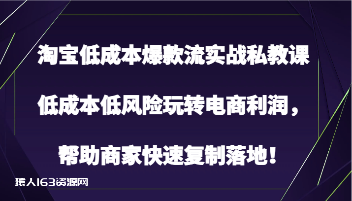 图片[1]-淘宝低成本爆款流实战私教课，低成本低风险玩转电商利润，帮助商家快速复制落地！-蛙蛙资源网